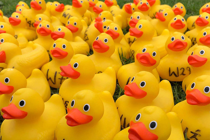 Annual Duck Race at The Woolpack Inn
